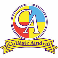 Colaiste Aindriu Bagenalstown 4Pk