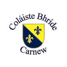 Colaiste Bhride Basketball Team