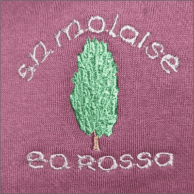 Old Leighlin NS (Scoil Molaise)