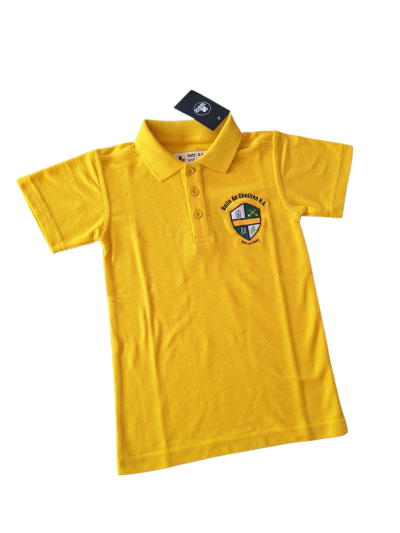 Ballinkillen NS Polo Shirt