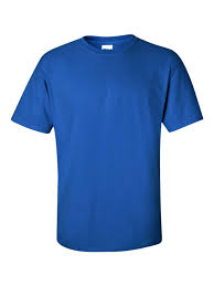 Colaiste Aindriu Bagenalstown (Training Tee)