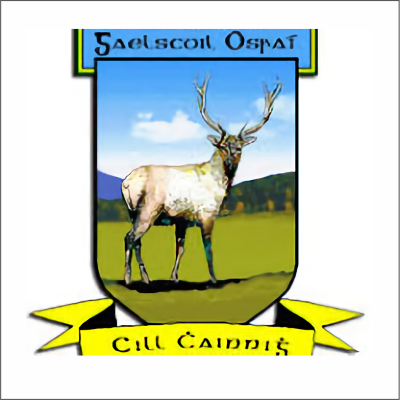 Gaelscoil Osrai NS
