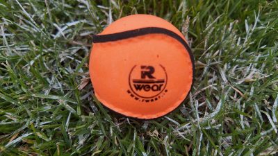 Wall Ball/Skills Sliotar Size 5